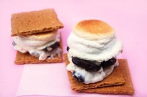 Frozen S'mores | Culinary Cool