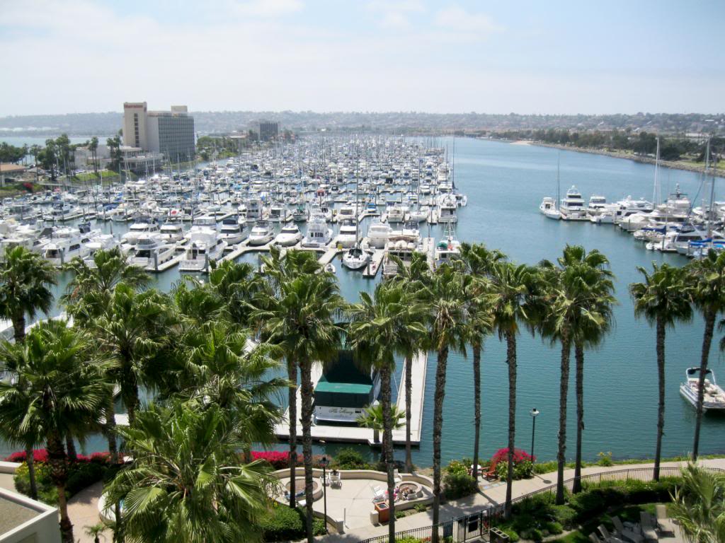 Things to do in San Diego | Culinary Cool