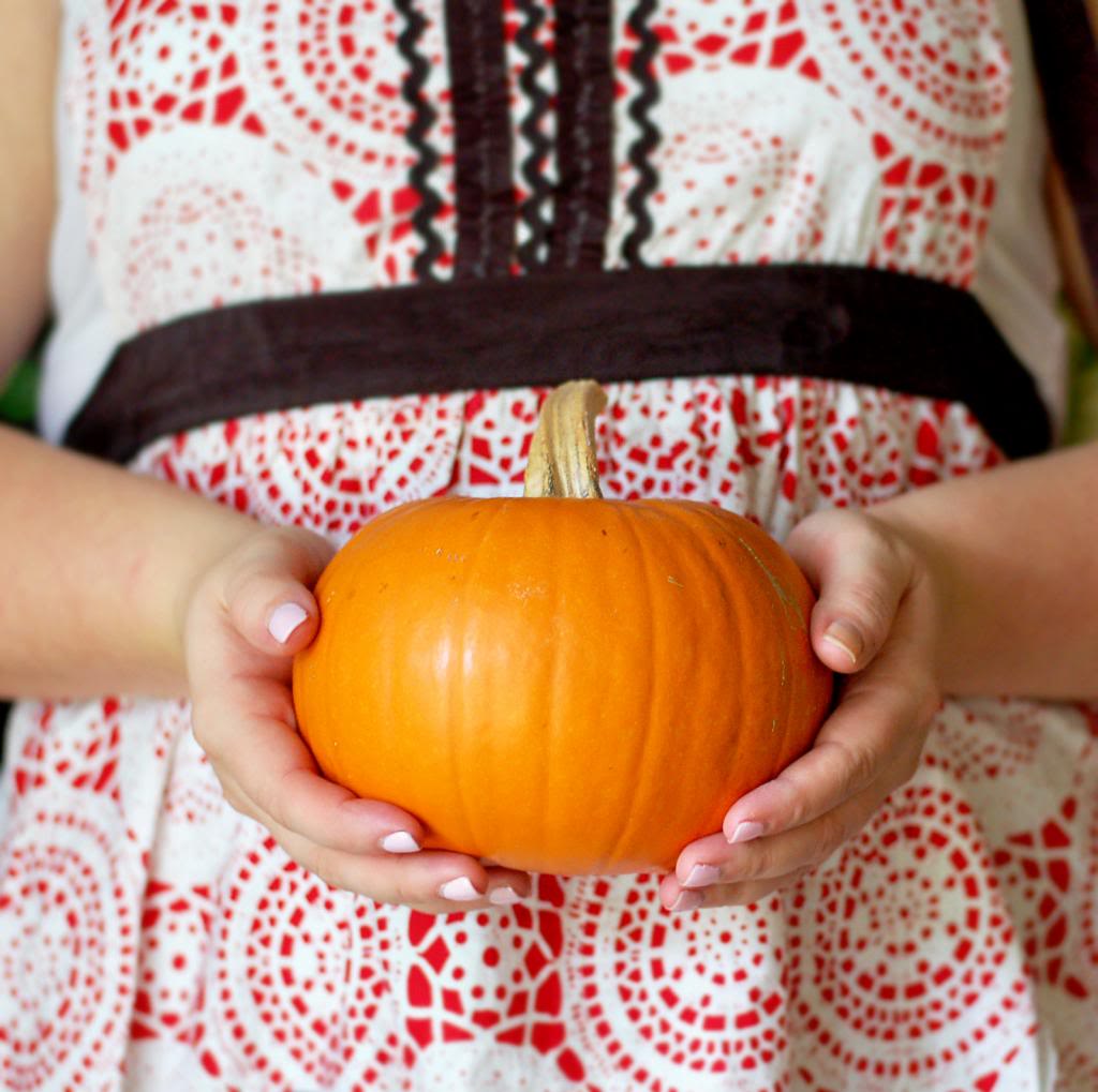 Mini Pumpkin Cheesecakes with Almond Crust | Culinary Cool