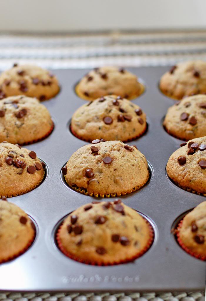 Chocolate Chip Zucchini Muffins | Culinary Cool