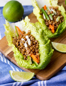 Lentil Larb Moo Lettuce Wraps | Culinary Cool