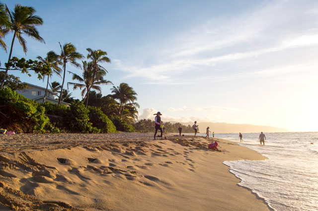 Laniakea Beach North Shore Oahu | Culinary Cool