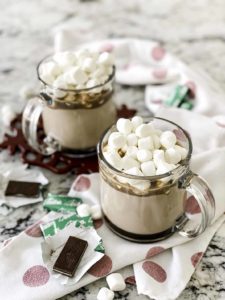 Mint Hot Chocolate Powder Mix | Culinary Cool