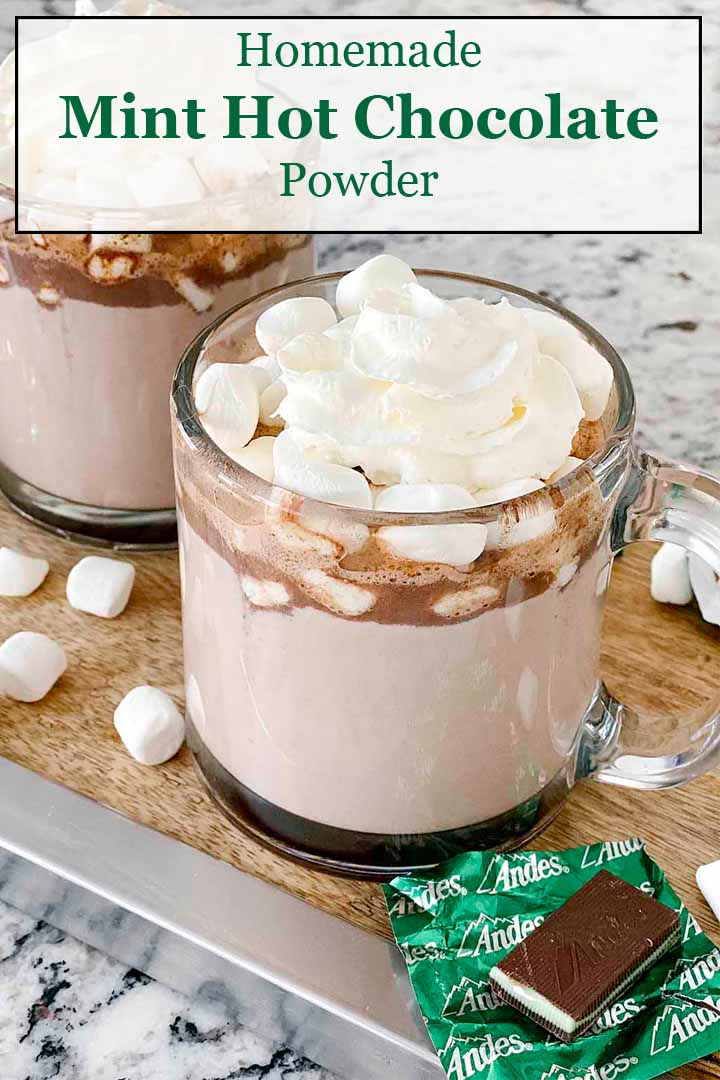 Homemade Mint Hot Chocolate Mix - Culinary Cool